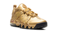 Air Max2 CB '94 Low "Supreme - Metallic Gold" IM4283 700