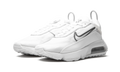 AIR MAX 2090 MNS WMNS "White / Black" CK2612 100