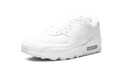 Air Max 90 "Triple White" CN8490 100