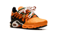 Air Max Plus "Homecoming Safety Orange" IM4960 800