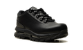 Air Max Goadome Low "Black" IQ0641 001
