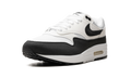 AIR MAX 1 WMNS "White Black" DZ2628 102